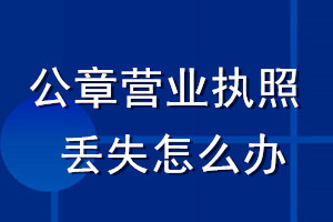 公司公章營(yíng)業(yè)執(zhí)照丟失怎么辦